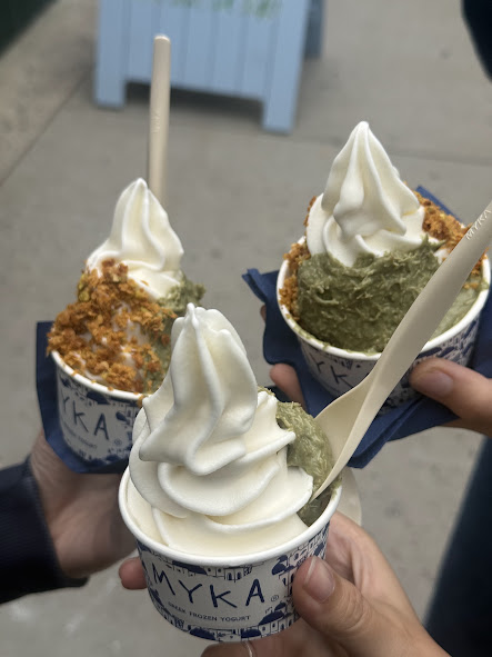 Myka Frozen Yogurt