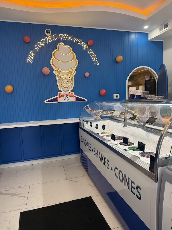 MR SOFTEE STORE / HAMPTONS SOFT ICE CREAM INC