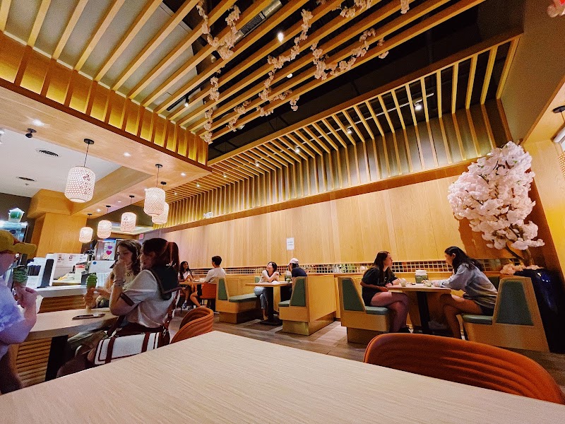 Kyo Matcha