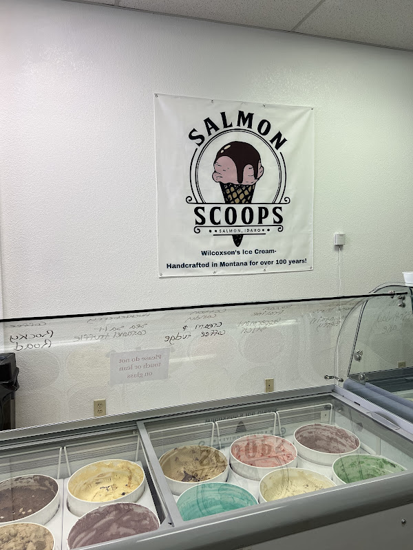 Salmon Scoops