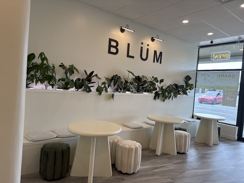 Blum Froyo Smoothies Tea