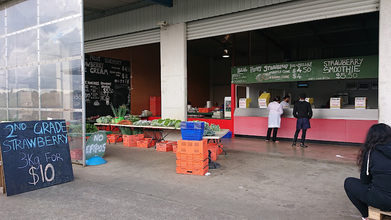 The Strawberry Farm