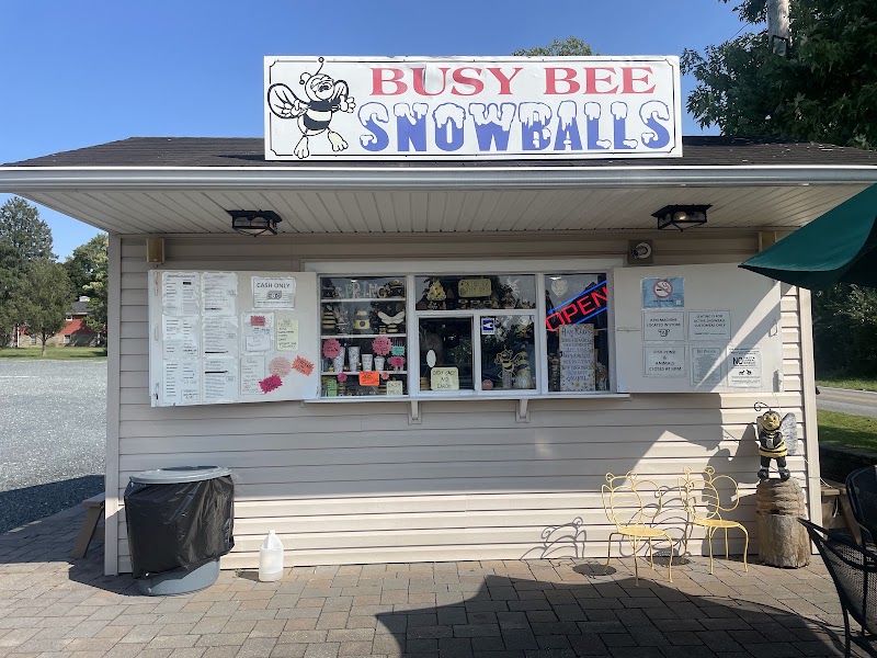 Busy Bee Snowballs