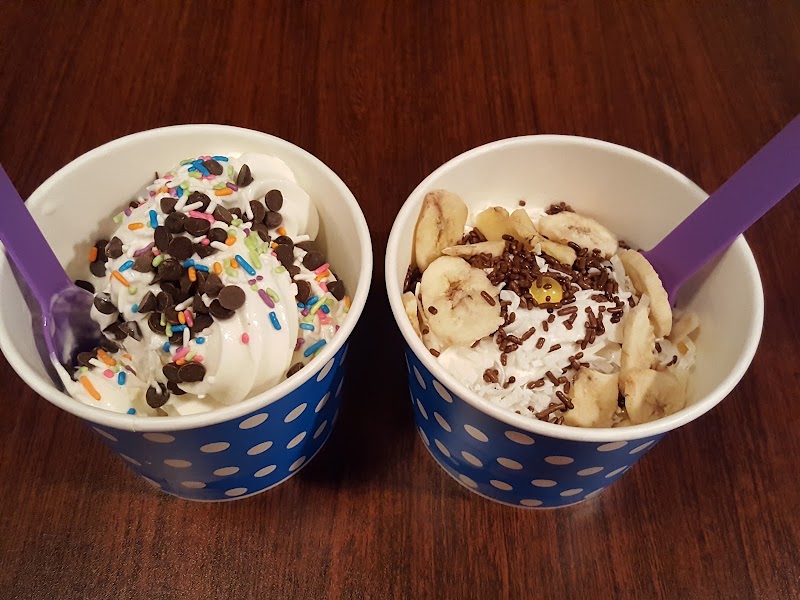Rudy's Gummy Berry Frozen Yogurt