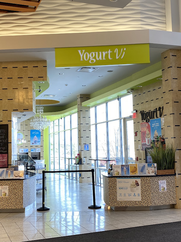 Yogurt Vi