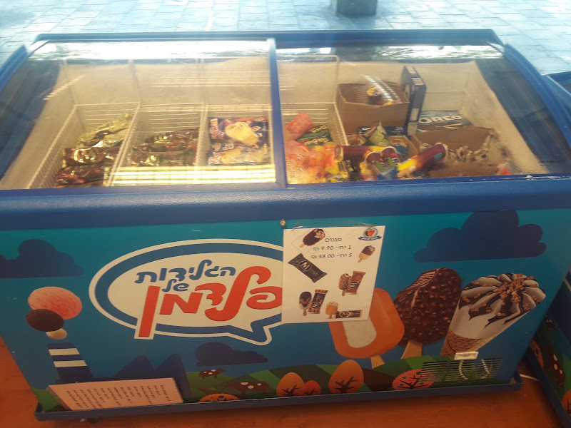 Feldman ice cream